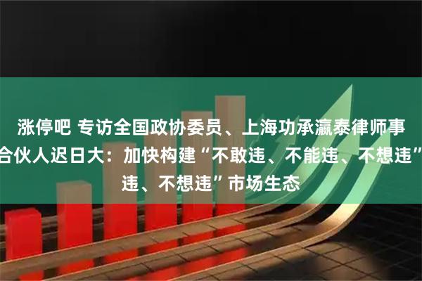 涨停吧 专访全国政协委员、上海功承瀛泰律师事务所首席合伙人迟日大：加快构建“不敢违、不能违、不想违”市场生态
